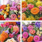 Image 2 of 4 of The Vibrant Flourish