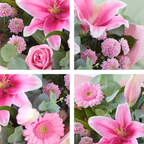 Image 2 of 4 of The Sweet Pinks