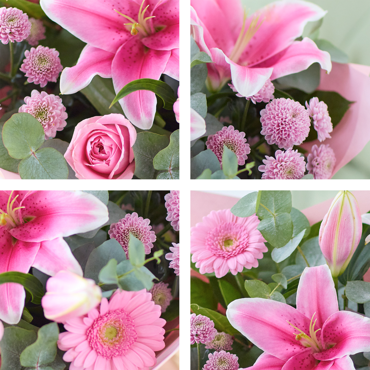 Image 2 of 4 of The Sweet Pinks