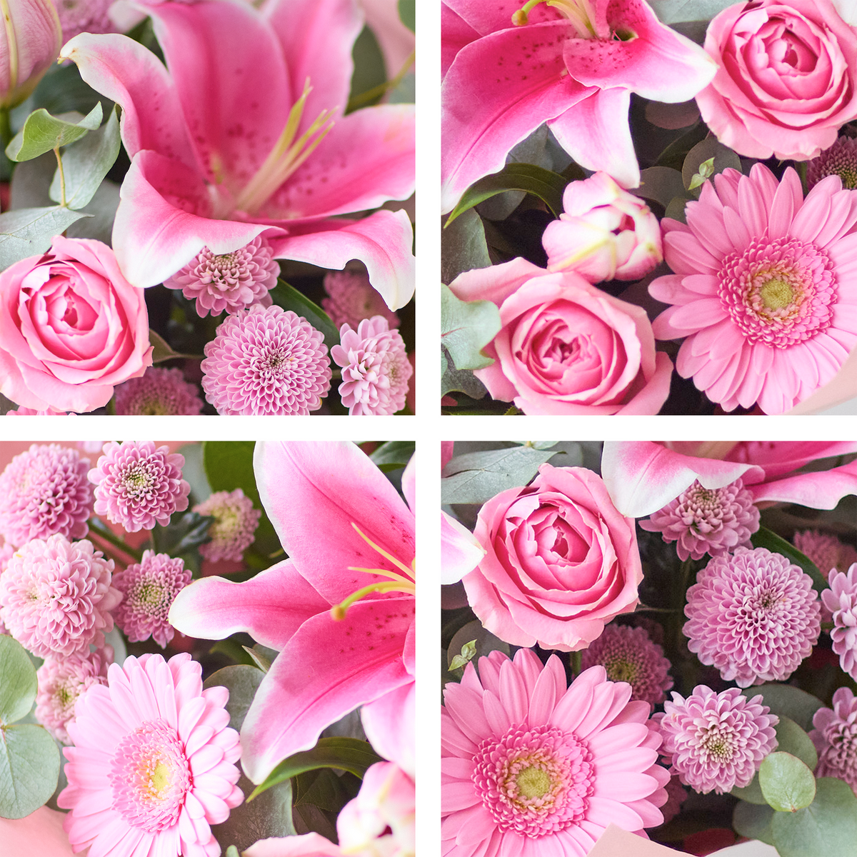 Image 2 of 4 of The Sweet Pinks