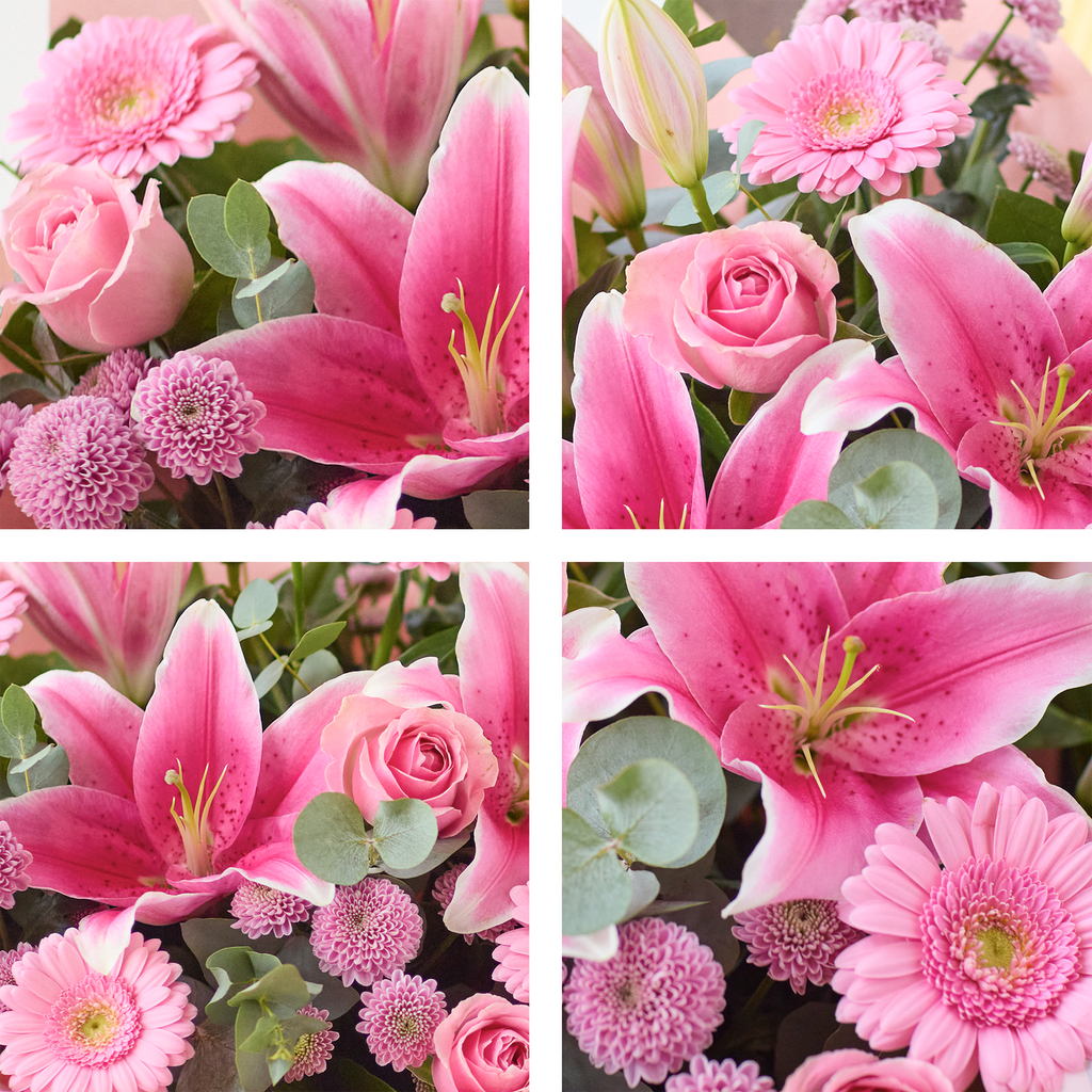 Image 2 of 4 of The Pink Perfection