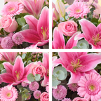 Image 2 of 4 of The Pink Perfection