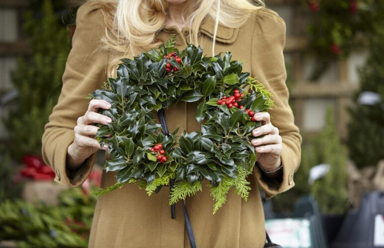 Holly and Narcisuss: The December Birth Flowers