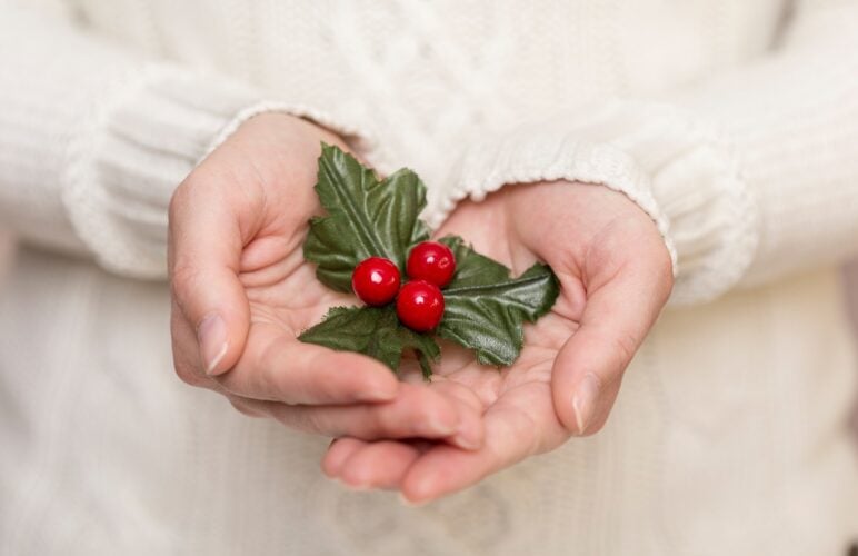 Why Do People Kiss Under Mistletoes: What You Need to Know