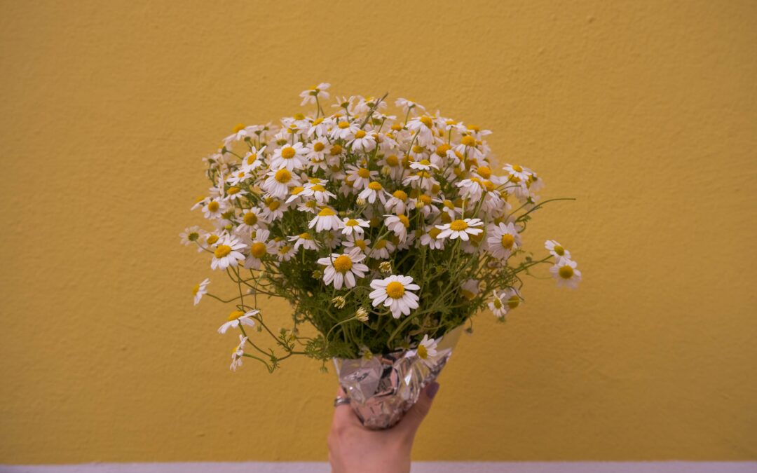 daisy bouquet