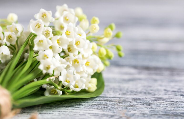 Birth Flowers of May: A Historical and Cultural Perspective