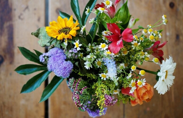 A Whiff of Romance: A Fragrant Flower for Every Occasion