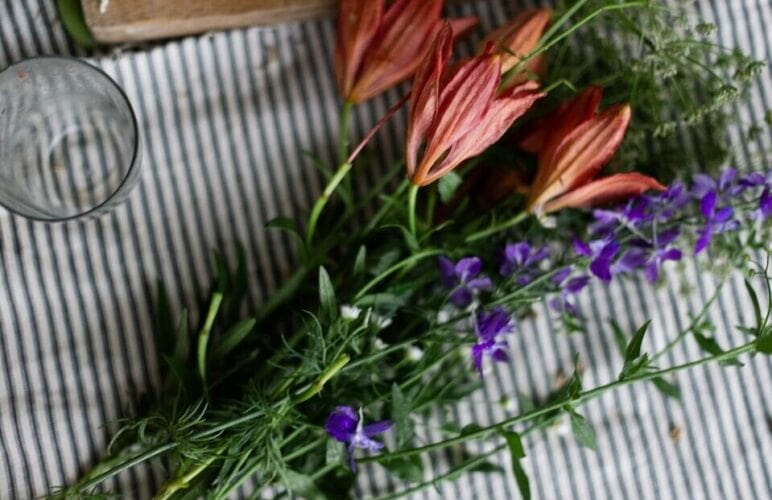 July Birth Flowers – Unveiling the Charm and Symbolism of Larkspur and Water Lily