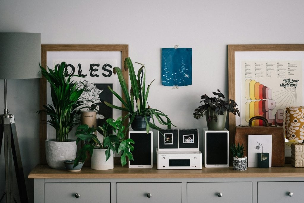 houseplants