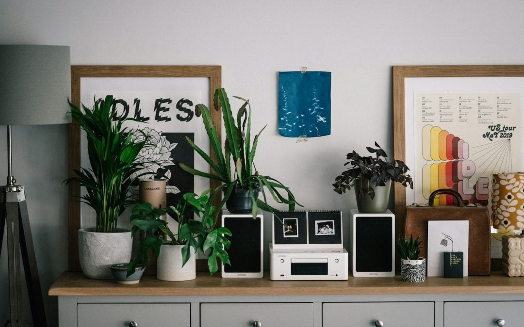 houseplants