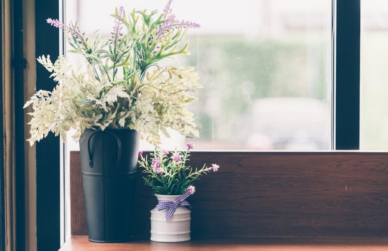 Elevate Your Well-being with an Indoor Garden Oasis – Welch’s Guide