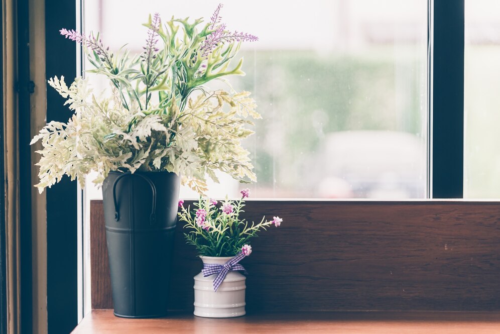 Elevate Your Well-being with an Indoor Garden Oasis – Welch’s Guide