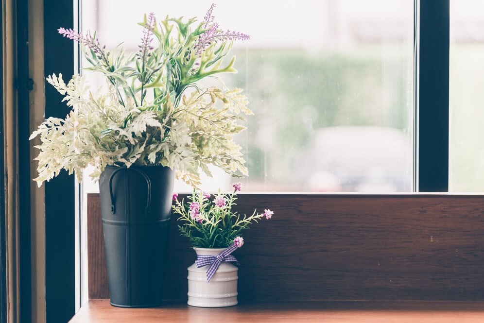 indoor flowers