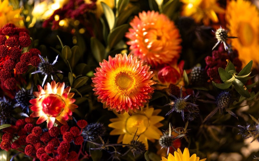 autumn composition of dry flowers and herbs closeu 2023 11 27 05 36 21 utc
