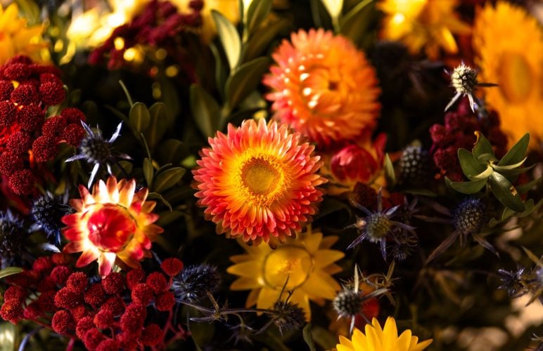 A Guide to Seasonal Flowers: Choosing the Perfect Blooms for Every Time of Year