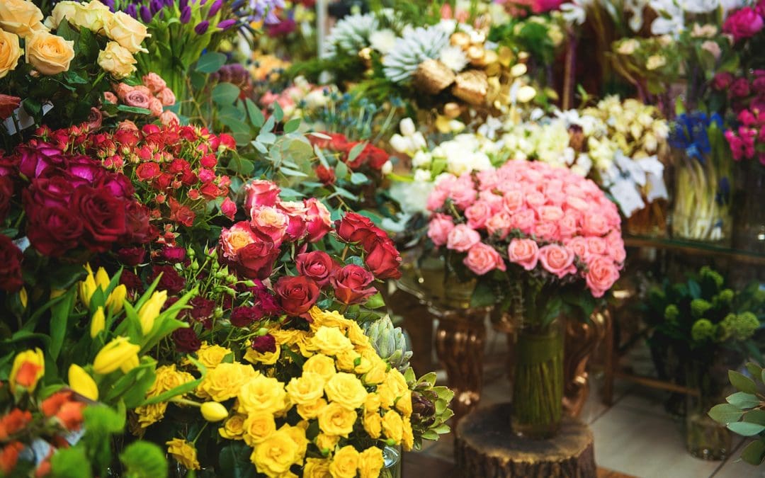 The Ultimate Guide to Choosing the Right Flowers for Every Season