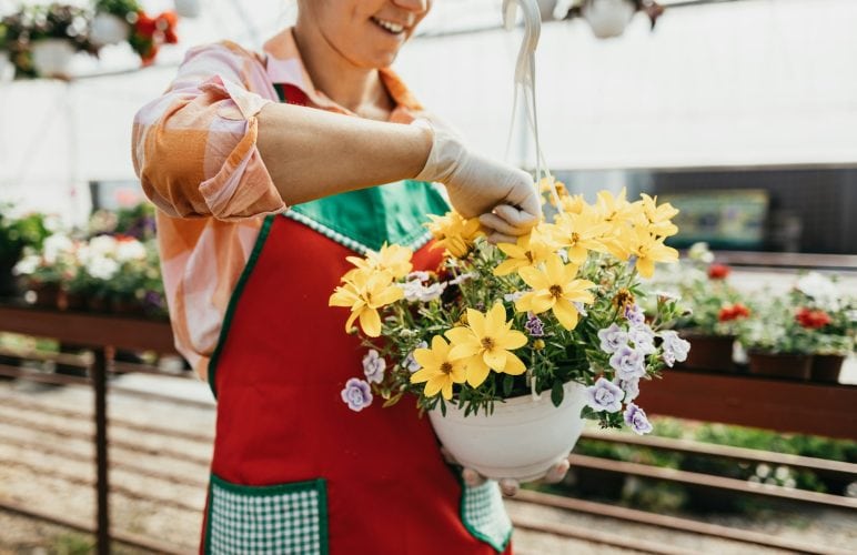Flower and Plant Care FAQs: Expert Tips and Advice from Welch