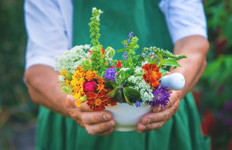 Embrace the Holistic Potential of Flowers and Plants for Healing and Wellness