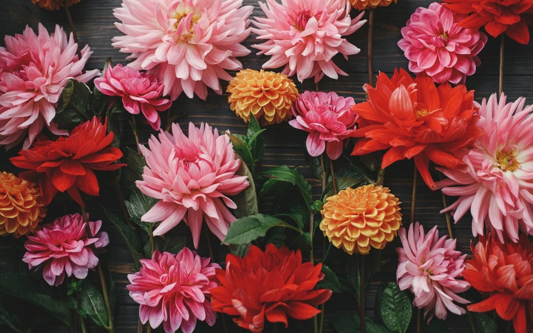 getty images diopMAVrhaQ unsplash