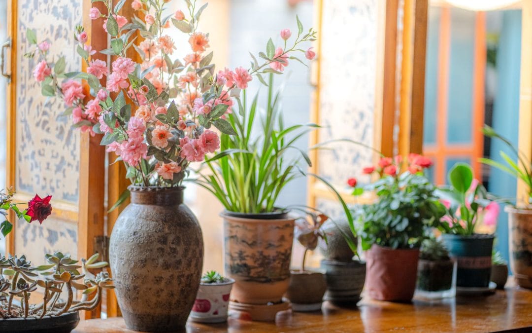 Design a Tranquil Haven: Create a Zen Space with Flowers and Plants