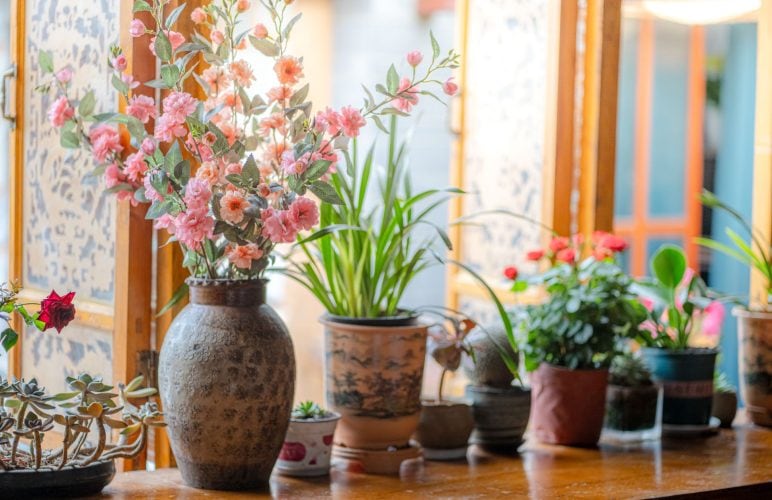 Design a Tranquil Haven: Create a Zen Space with Flowers and Plants