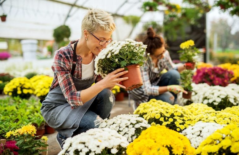 East Midlands Family Business: Our Journey in the Flower Industry