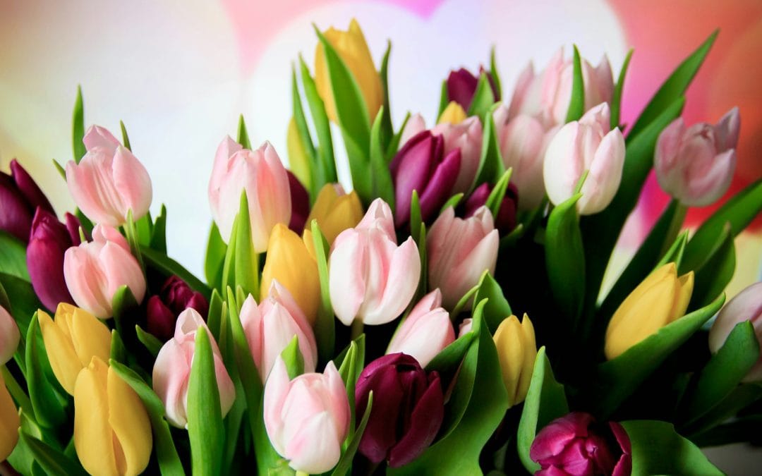 Choosing the Best Nottingham Flowers for Any Occasion