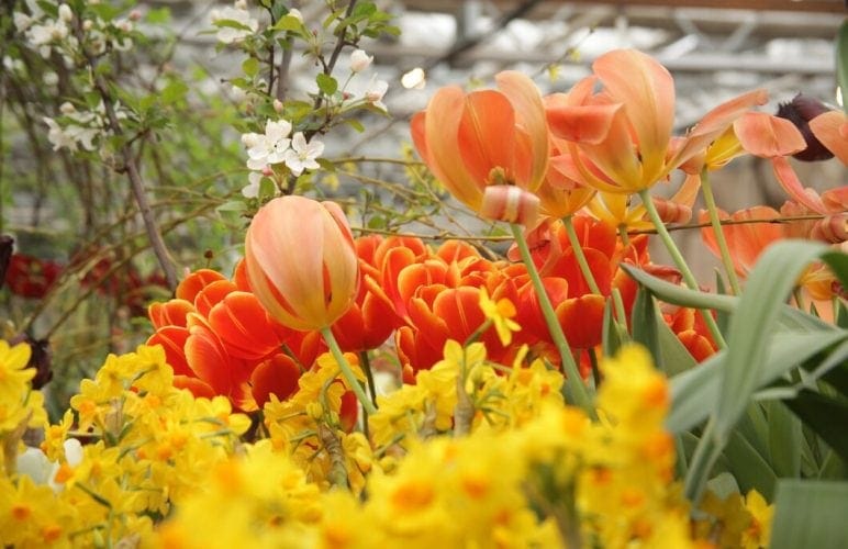 Top Nottingham Florist Picks: What You Need to Know