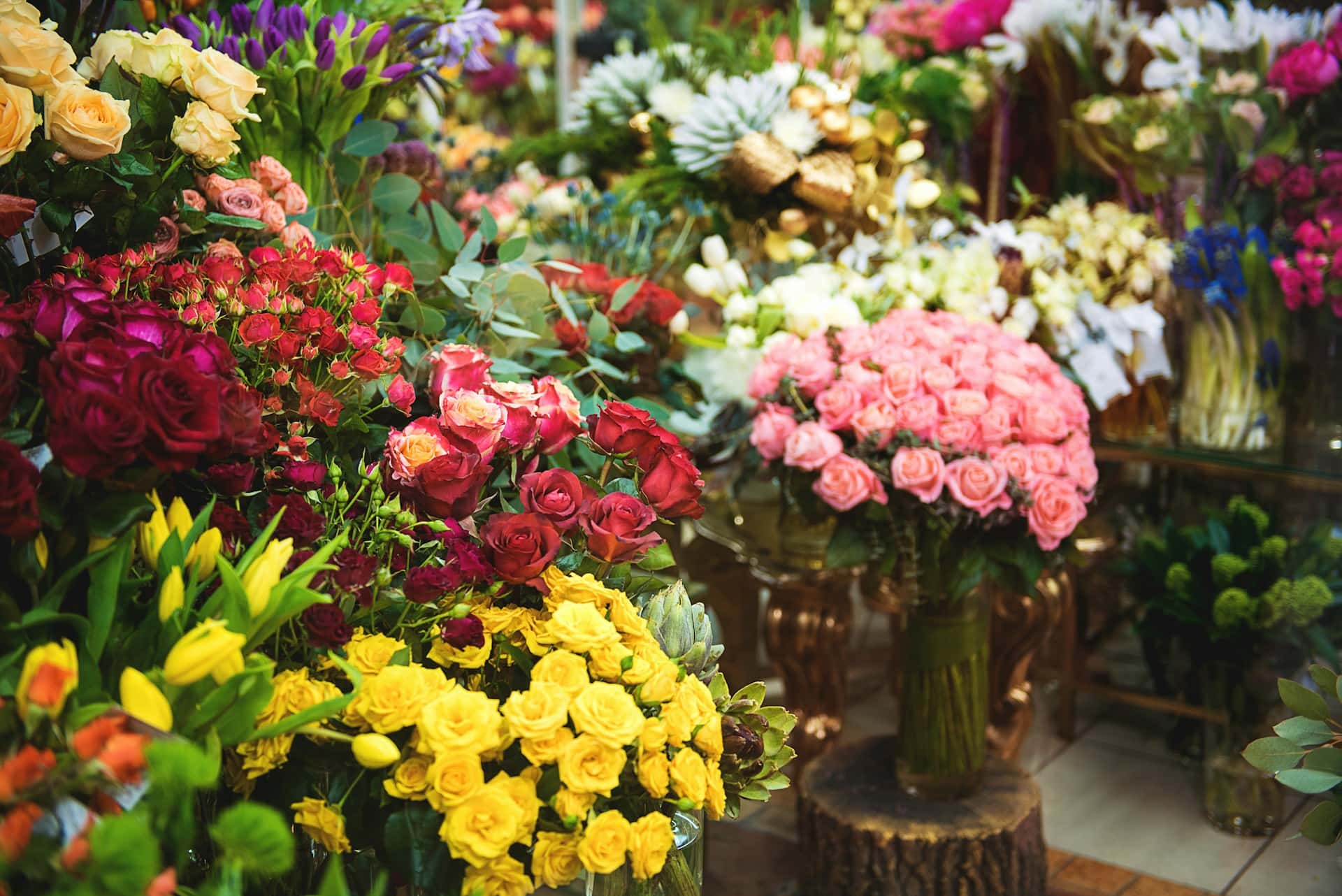 Nottingham Flowers