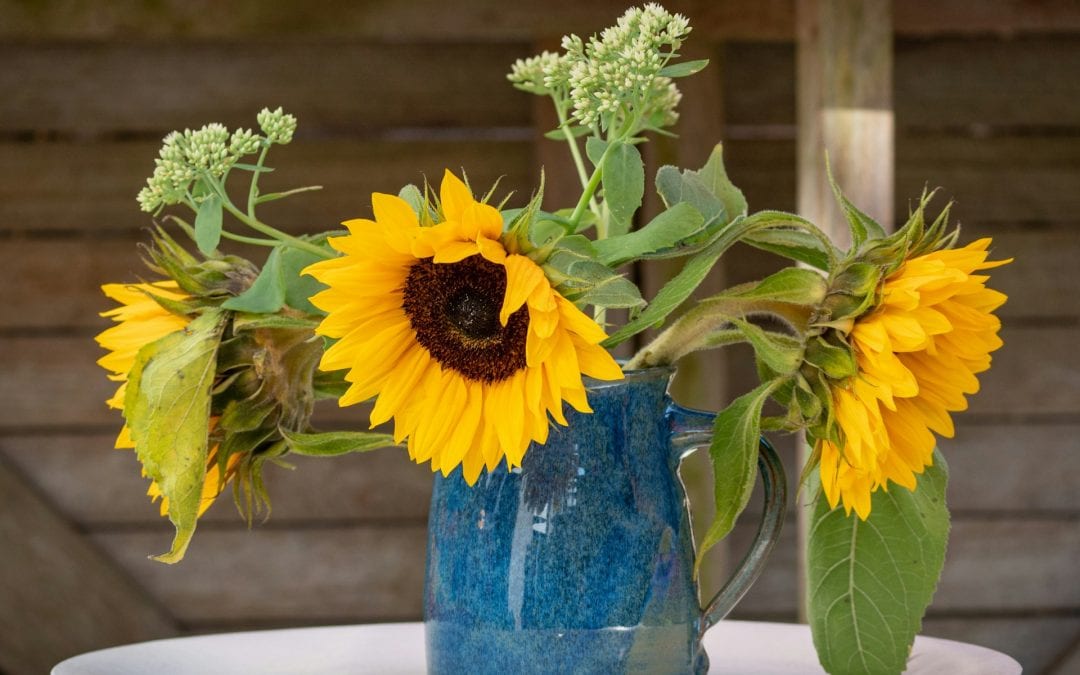 A Seasonal Guide to Summer Flowers for Your Home
