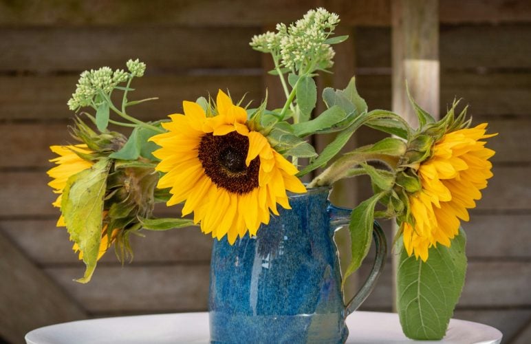 A Seasonal Guide to Summer Flowers for Your Home