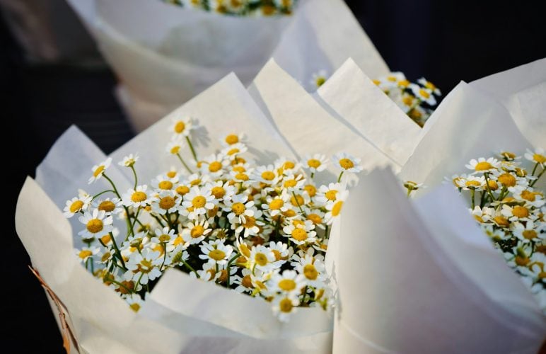 What Types of Flowers Are Ideal for ‘Get Well Soon’ Bouquets?