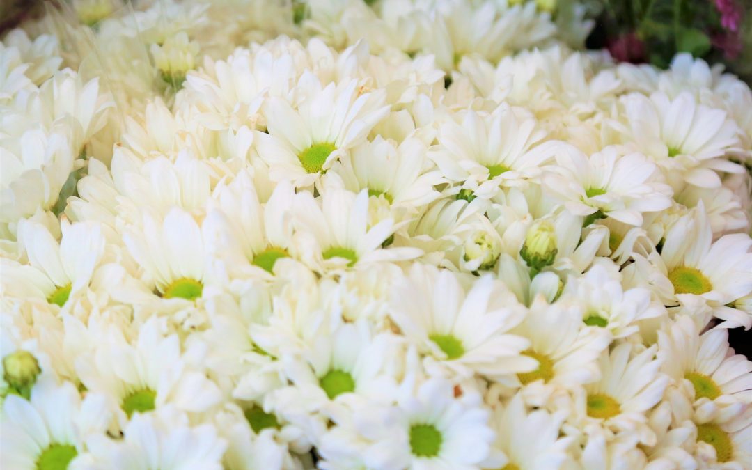 Keeping Funeral Flowers Fresh During Services