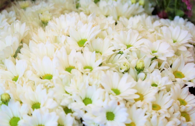 Keeping Funeral Flowers Fresh During Services