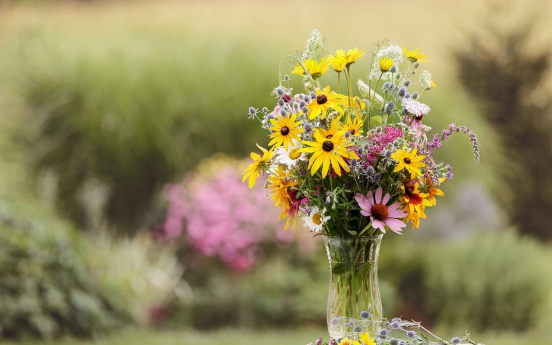 summer flowers