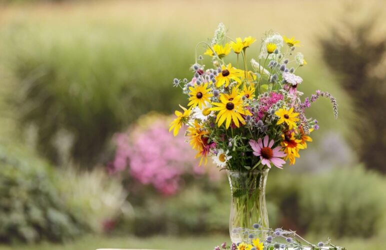 Summer Flower Care: Keeping Your Blooms Fresh in the Heat