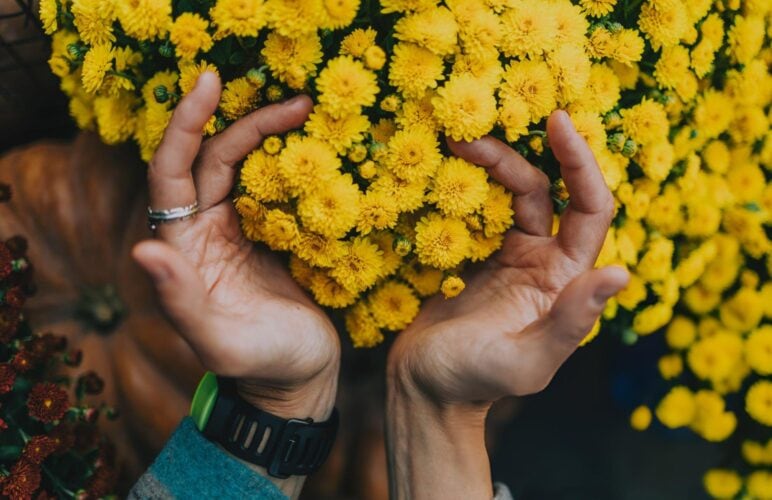 Autumn Flowers: Dealing with Seasonal Colour Changes