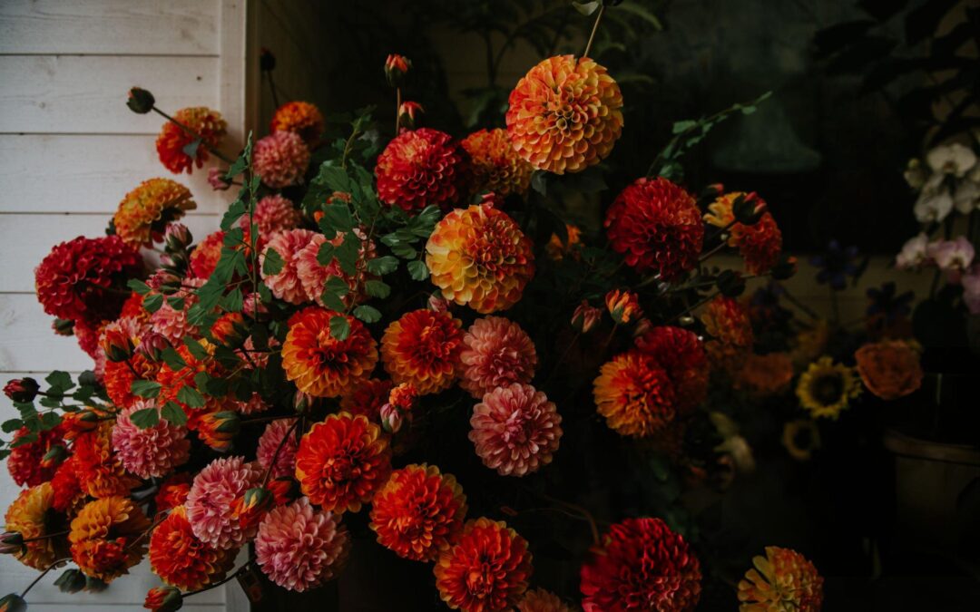 Seasonal Trends for Autumn Flowers in Nottingham