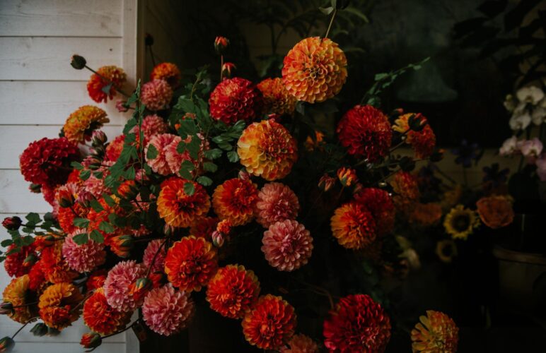 Seasonal Trends for Autumn Flowers in Nottingham