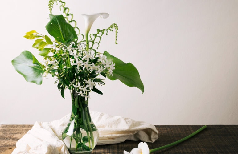 Winter Flowers: Solving Indoor Environment Challenges