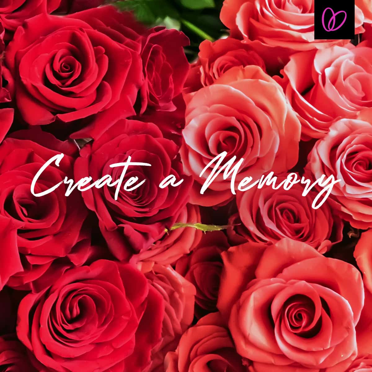 Welch Social x Create a Memory