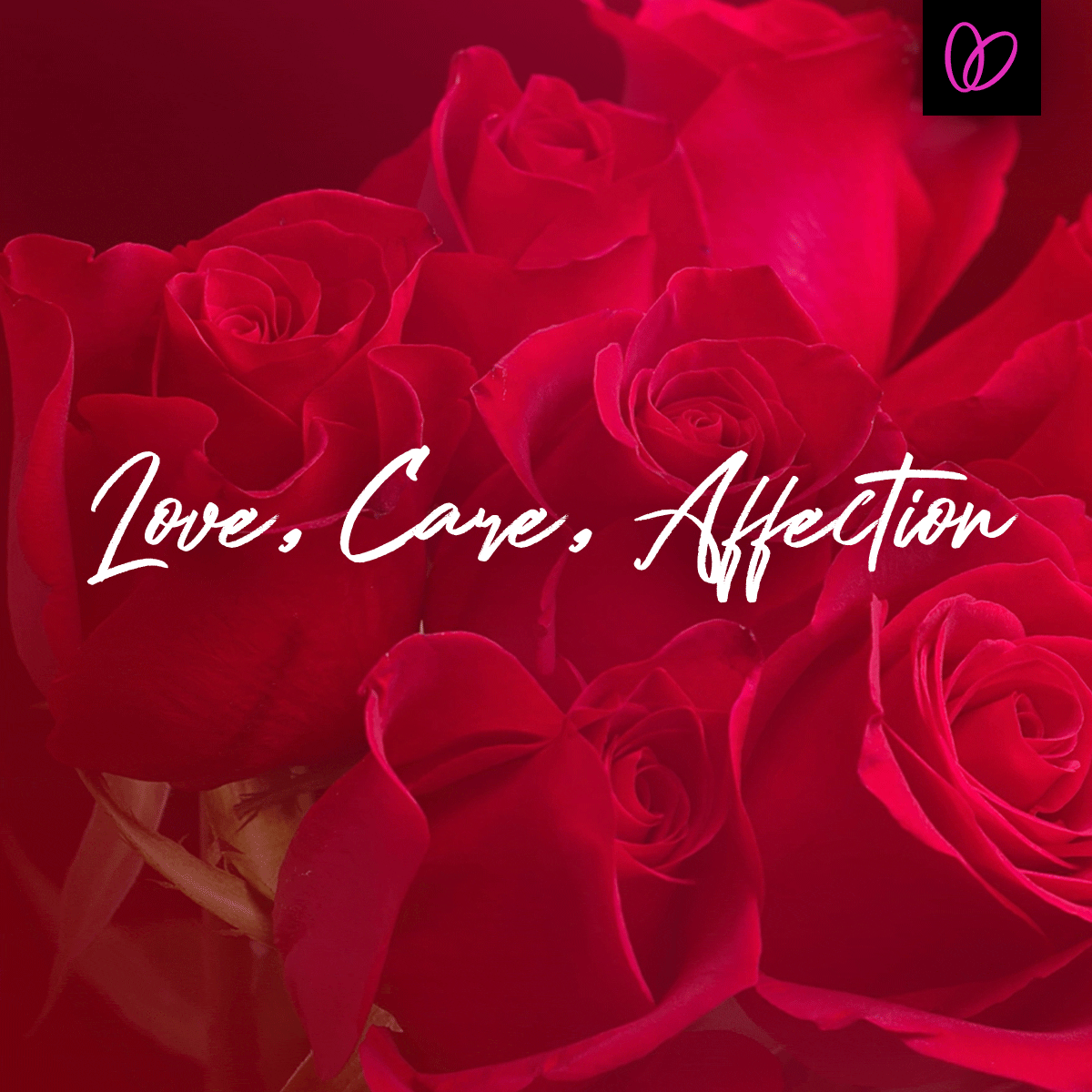 Welch Social x Love Care Affection