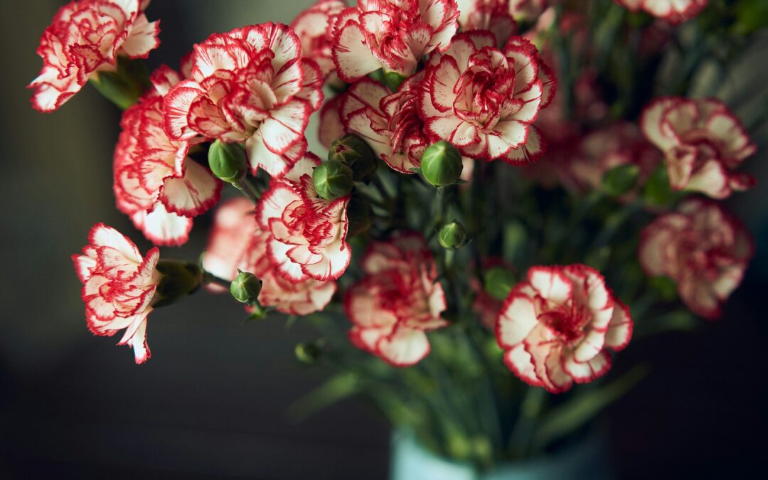 flowers in a vase