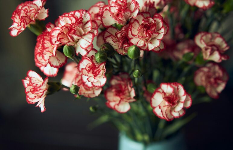 Solutions for Vase Life Extension Problems