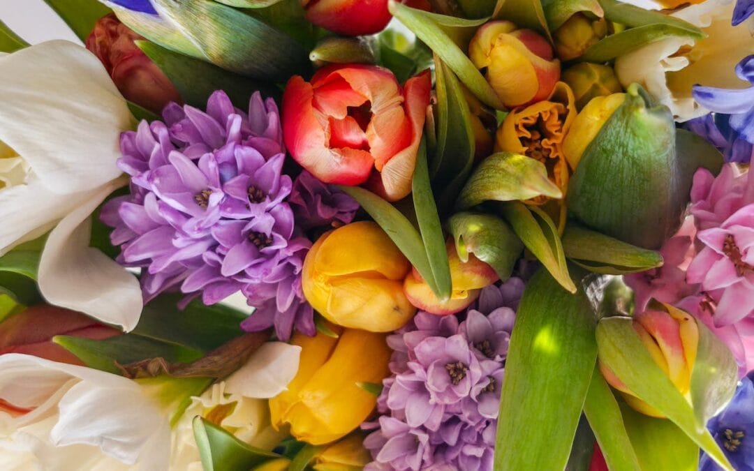 Why You Should Never Delay Sending Get Well Flowers in Spring