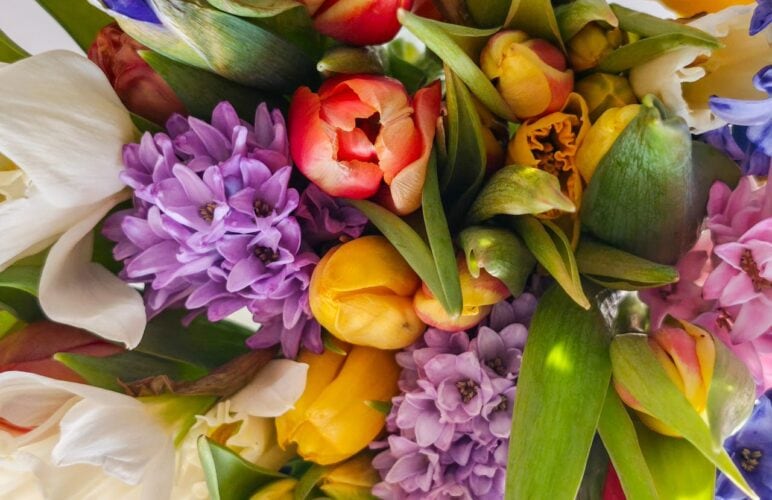 Why You Should Never Delay Sending Get Well Flowers in Spring