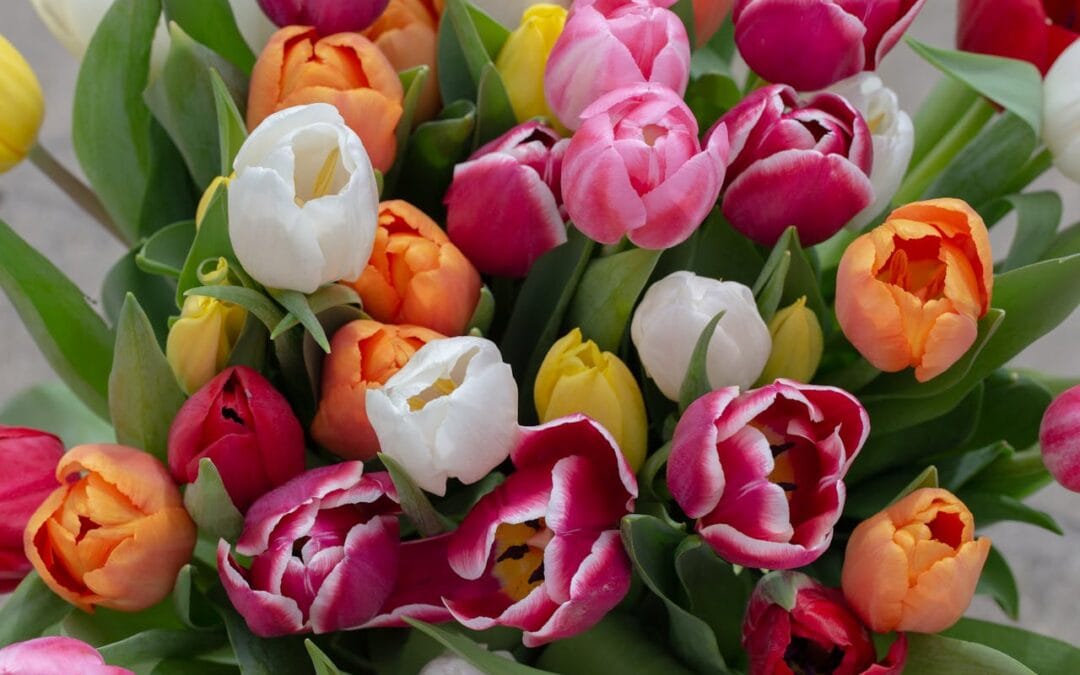 How to Choose Thank You Flowers That Actually Feel Thankful