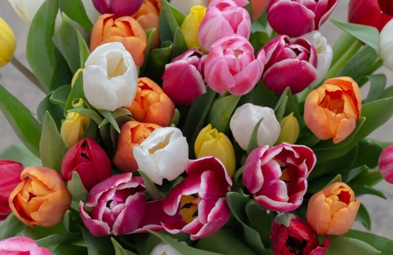 How to Choose Thank You Flowers That Actually Feel Thankful