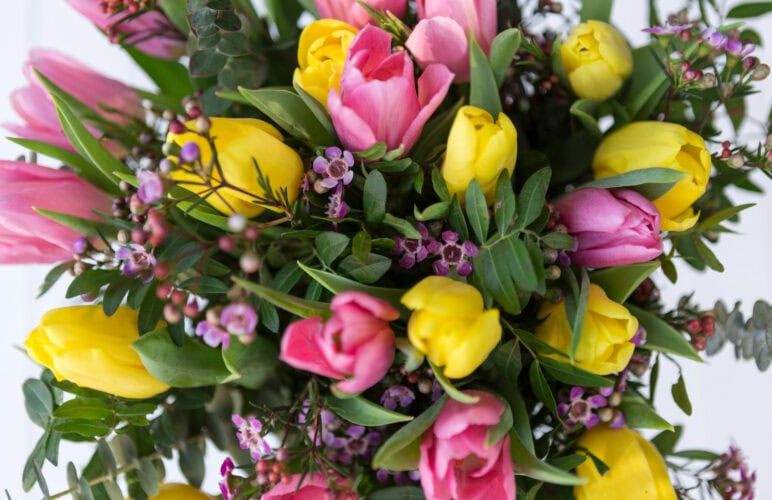 What Spring Flowers Mean to Nottingham Locals This Time of Year