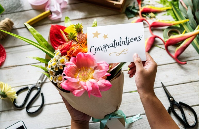 Why Congratulation Flowers Fade Faster in May Heat
